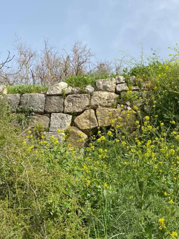  | موسوعة القرى الفلسطينية