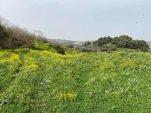  | موسوعة القرى الفلسطينية