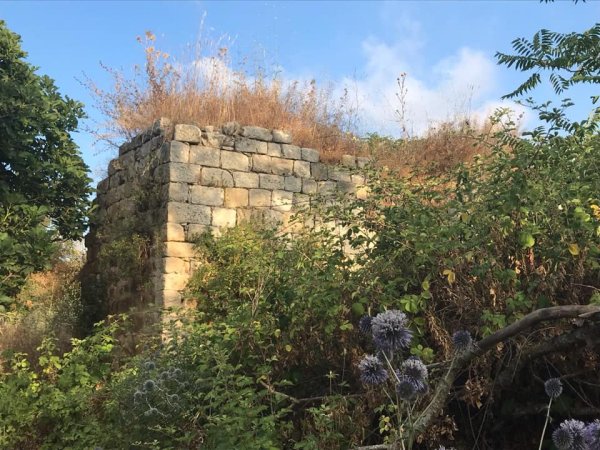  | موسوعة القرى الفلسطينية