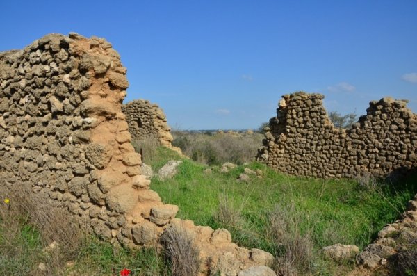 قرية المنصورة / غزة