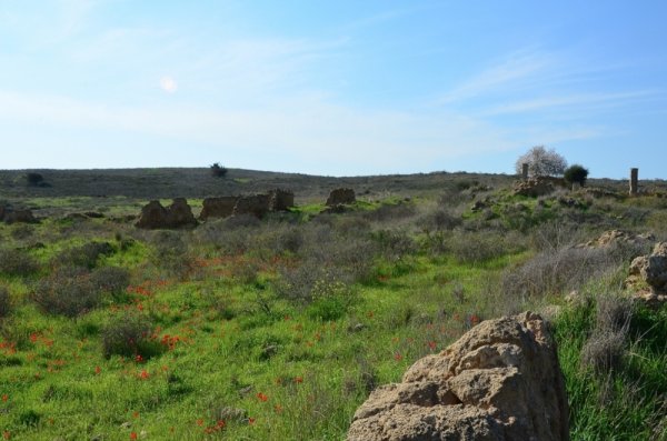 قرية المنصورة / غزة