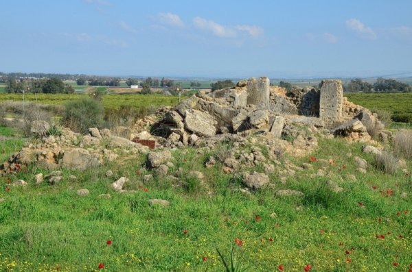 قرية المنصورة / غزة