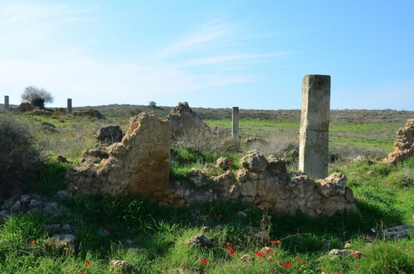 قرية المنصورة / غزة