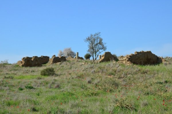 قرية المنصورة / غزة