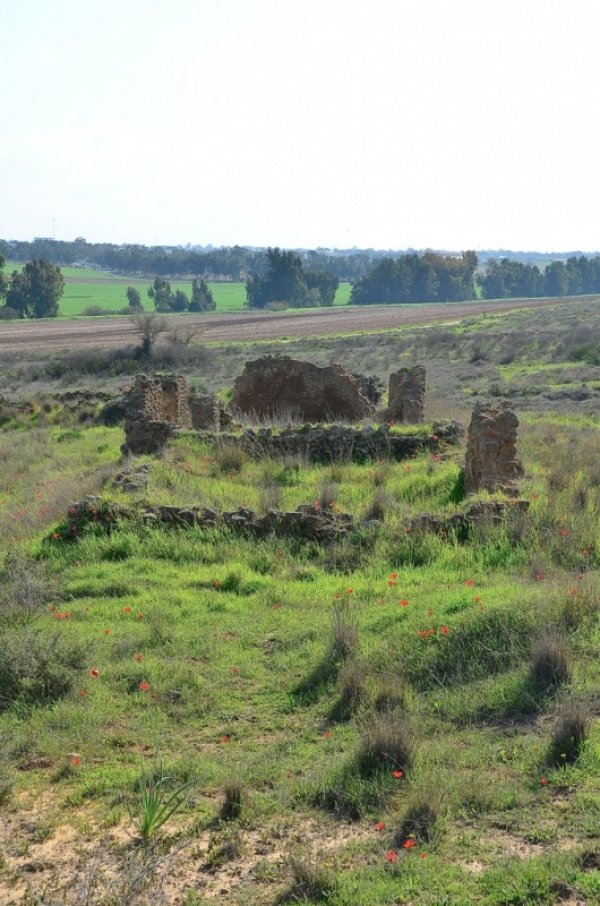 قرية المنصورة / غزة