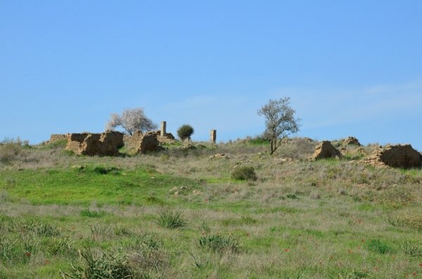 قرية المنصورة / غزة