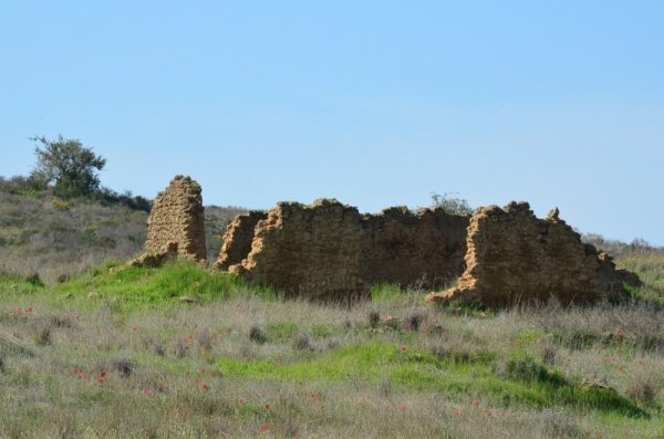 قرية المنصورة / غزة