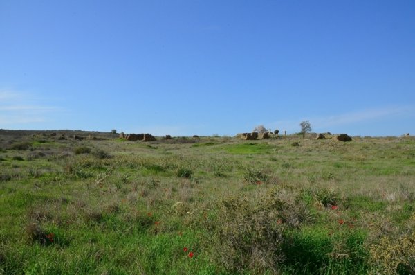 قرية المنصورة / غزة