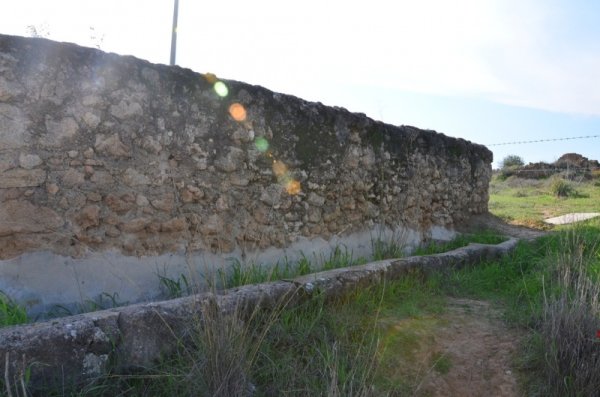 قرية المنصورة / غزة