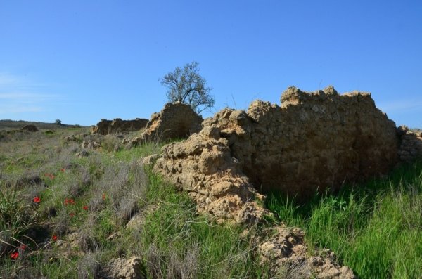 قرية المنصورة / غزة