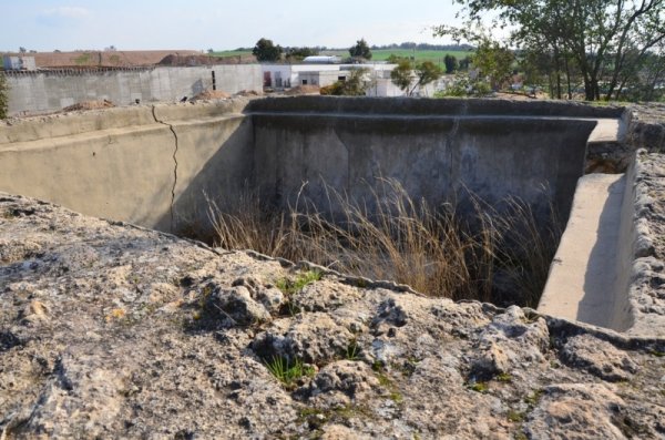 قرية المنصورة / غزة