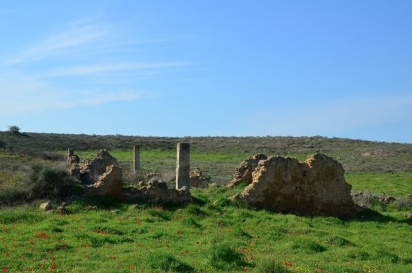 قرية المنصورة / غزة