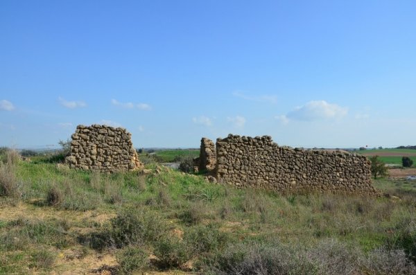 قرية المنصورة / غزة