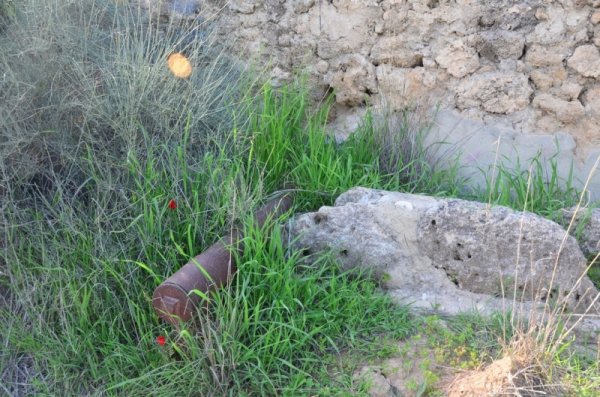 قرية المنصورة / غزة