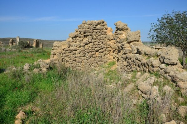 قرية المنصورة / غزة