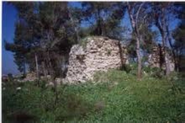 قرية النعاني