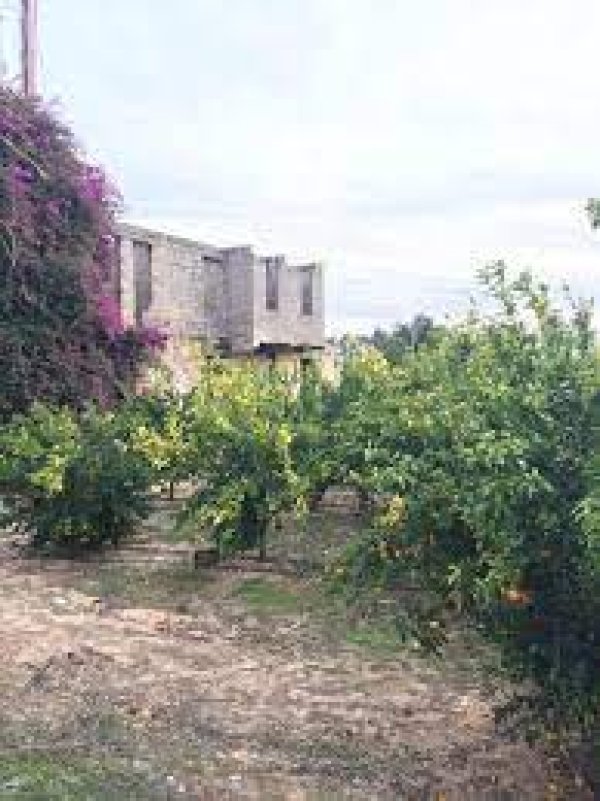 قرية النعاني