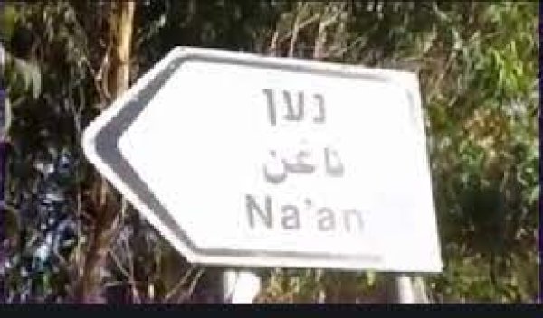 قرية النعاني