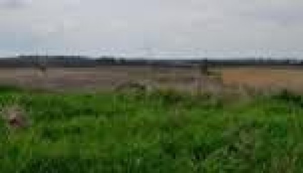 قرية النعاني