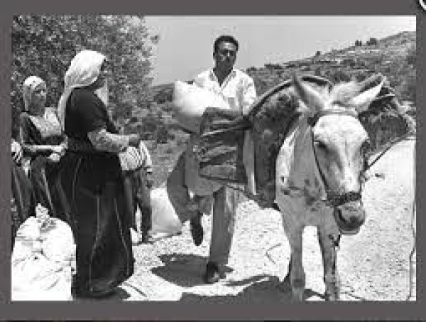 من عرب البشاتوة