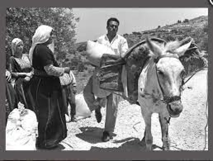 عرب البشاتوة  | موسوعة القرى الفلسطينية