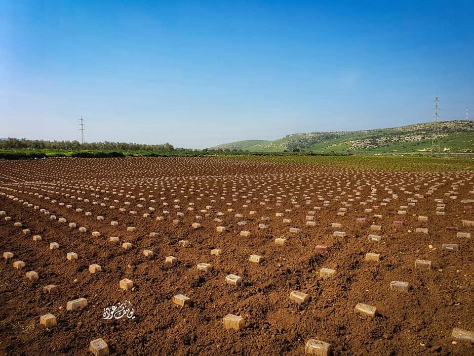  | موسوعة القرى الفلسطينية
