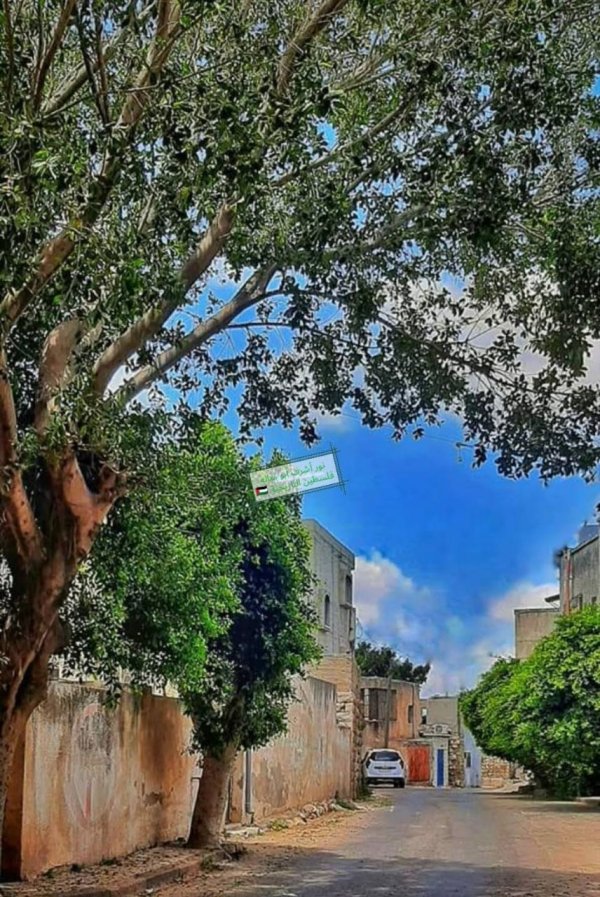  | موسوعة القرى الفلسطينية