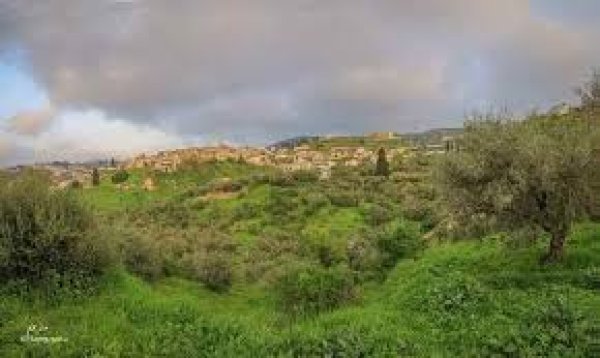  | موسوعة القرى الفلسطينية