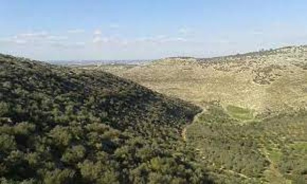  | موسوعة القرى الفلسطينية