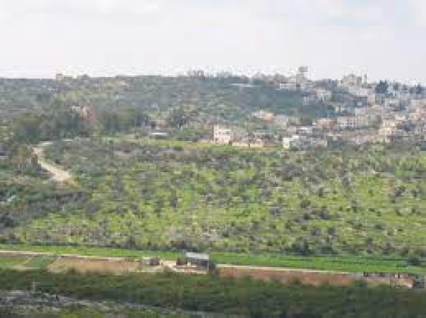  | موسوعة القرى الفلسطينية