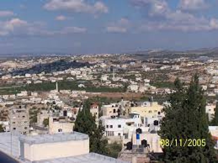 فرعون  | موسوعة القرى الفلسطينية