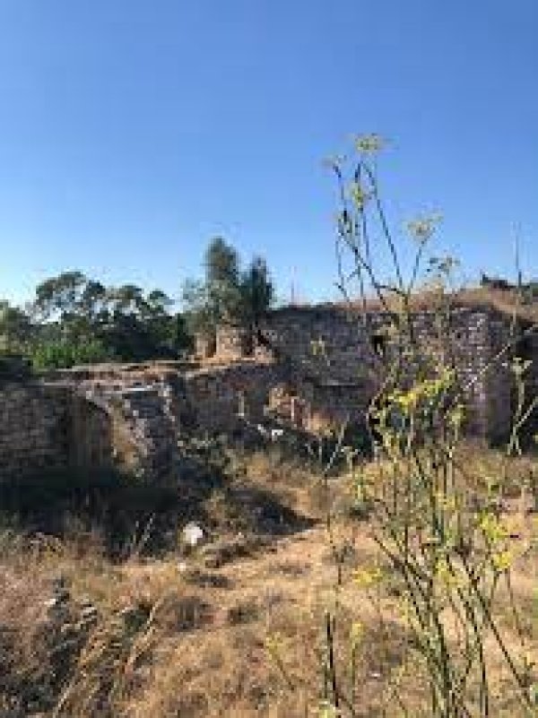  | موسوعة القرى الفلسطينية