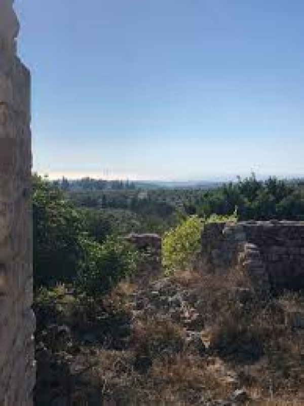  | موسوعة القرى الفلسطينية