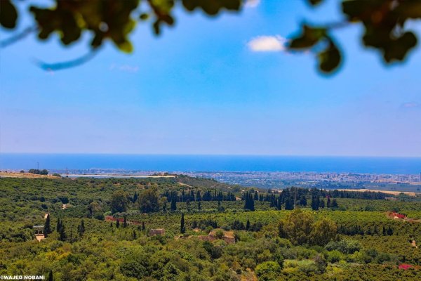  | موسوعة القرى الفلسطينية