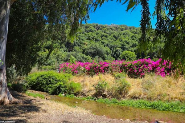  | موسوعة القرى الفلسطينية