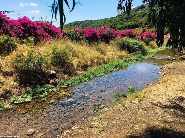  | موسوعة القرى الفلسطينية