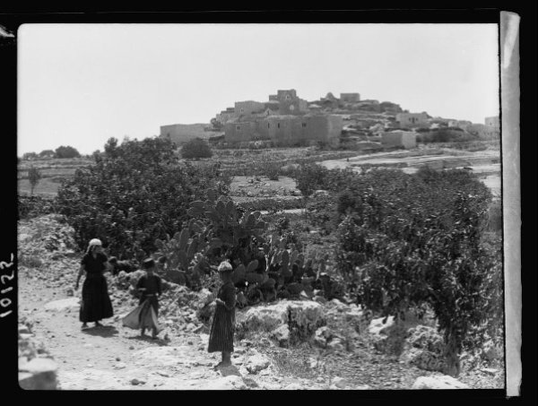 قرية الجيب قديمًا