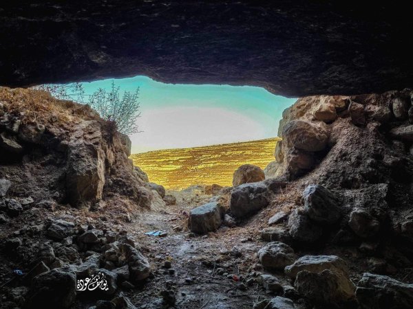 "معصرة زيتون" في قرية الجيب، عدسة يوسف عودة