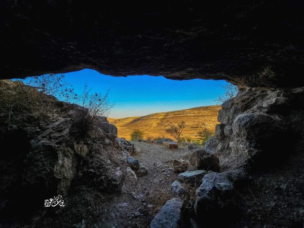 "معصرة زيتون" في قرية الجيب، عدسة يوسف عودة