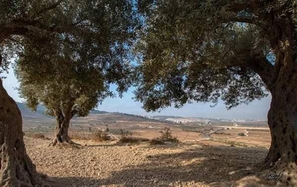 قرية الجيب/ القدس، تصوير محمود معطان