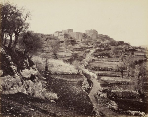 قرية الجيب قديمًا