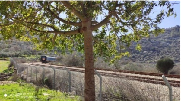  | موسوعة القرى الفلسطينية