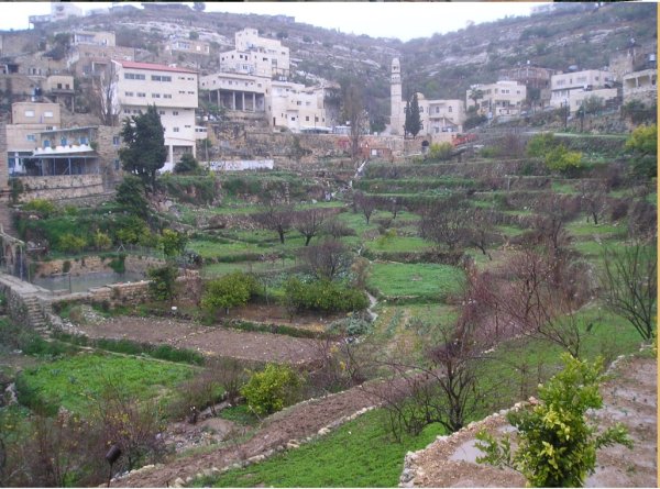  | موسوعة القرى الفلسطينية