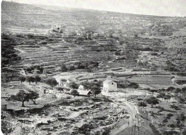  | موسوعة القرى الفلسطينية