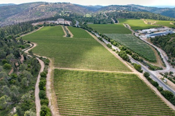  | موسوعة القرى الفلسطينية