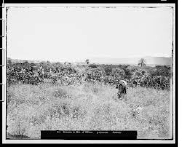  | موسوعة القرى الفلسطينية