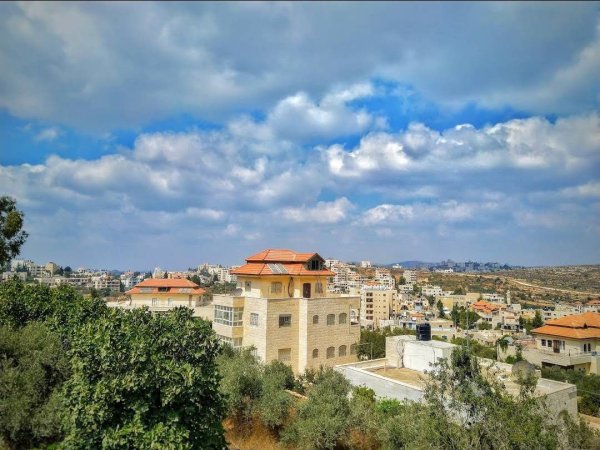 صور حديثة لقرية أبو قش بعدسة: أ. رمضان زيادة