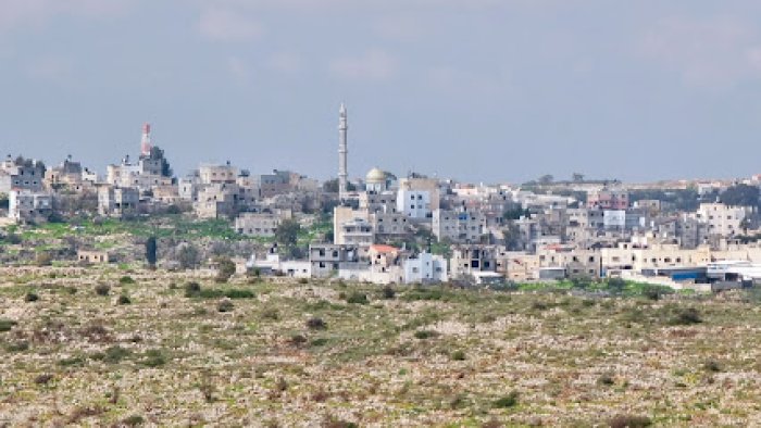 رنتيس  | موسوعة القرى الفلسطينية