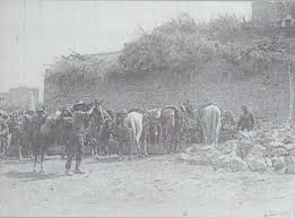  | موسوعة القرى الفلسطينية