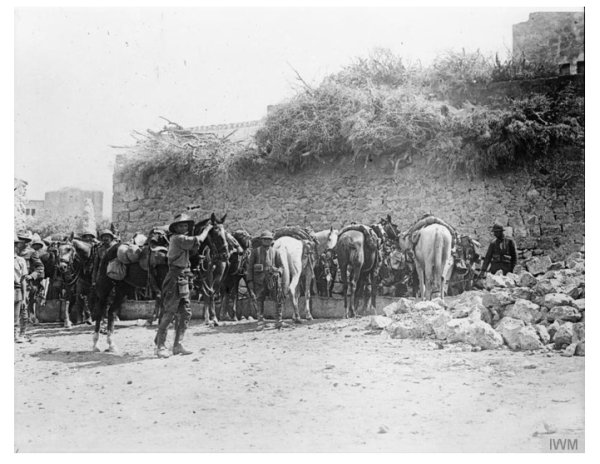  | موسوعة القرى الفلسطينية